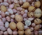 Foto 4 di 7