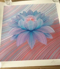 OBEY SHEPARD FAIREY & Kai & Sunny  - Unity Flower Limited Edition / Sold out