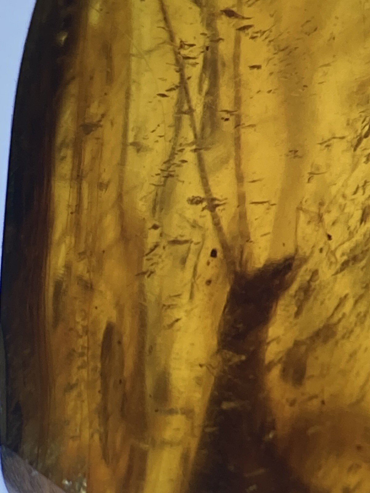 Picture 3 of 3