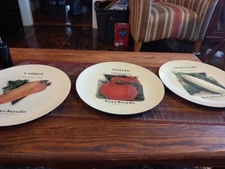 card seed company fredonia Melamine Platters (3) 13"