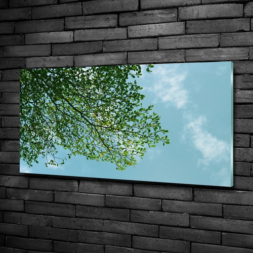 Tulup Tableau Sur Verre Trempé Image 100x50 - Panorama De La Forêt