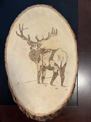 Live Edge Wood BUCK DEER Etching Wall Plaque 15 x9 