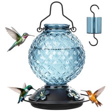 Glass Hummingbird Feeder for Outdoors Hanging, 25 OZ Humming Bird Nectar Feed...