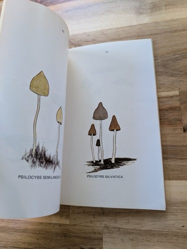 A Key To The American Psilocybin Mushroom By Leonard Enos 1972 Paperback Book - Picture 8 of 12