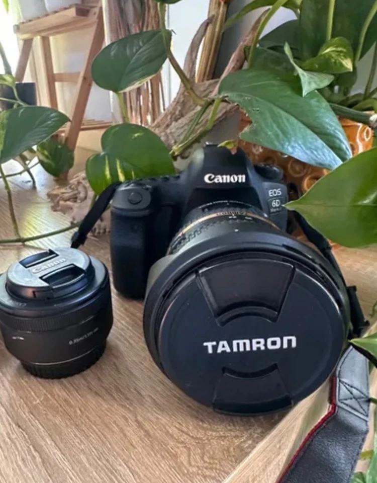 Canon EOS 5D Mark IV + Objetif Canon EF 50mm f/1.4 USM, photo 2 sur 5