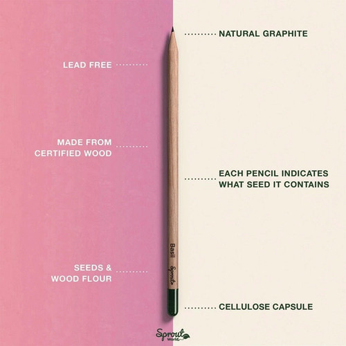 8 Pack SproutWorld Wood-Cased Pencils HB Pre-Sharpened Graphite Plantable Pencil - Picture 5 of 6