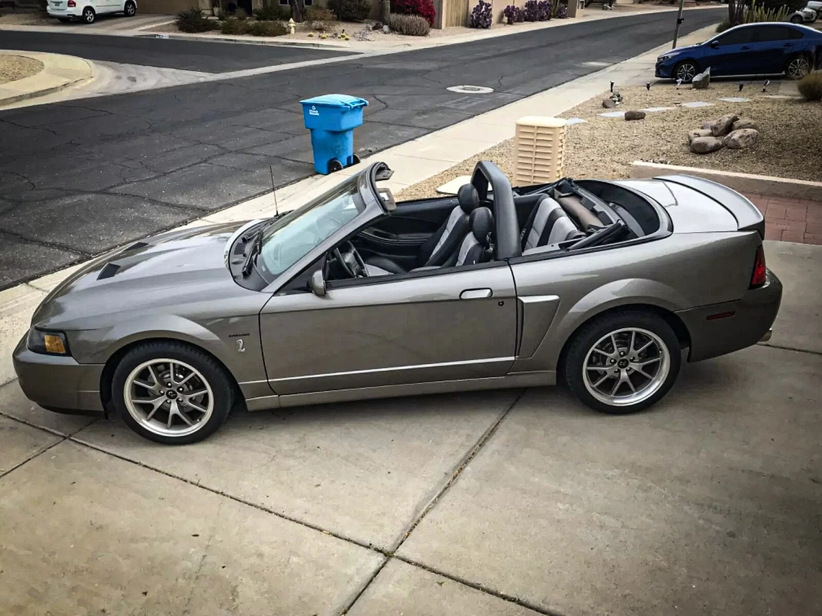 Click photo thumbnail to view