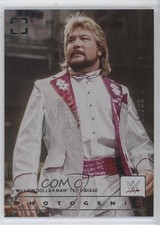 2024 Panini Photogenic WWE Silver 91/99 Million Dollar Man Ted DiBiase #173 0sb5