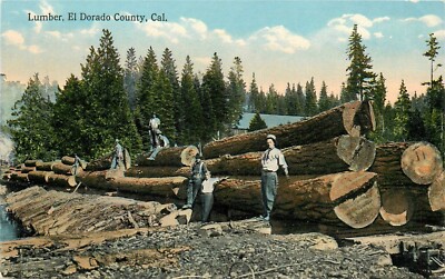 Postcard C-1910 California El Dorado Lumber occupational Logging CA24-2769