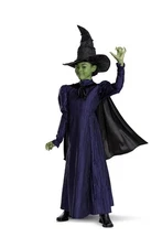 Wicked Witch Costume Girls MEDIUM Witch from WICKED Green Nose & Makeup Included