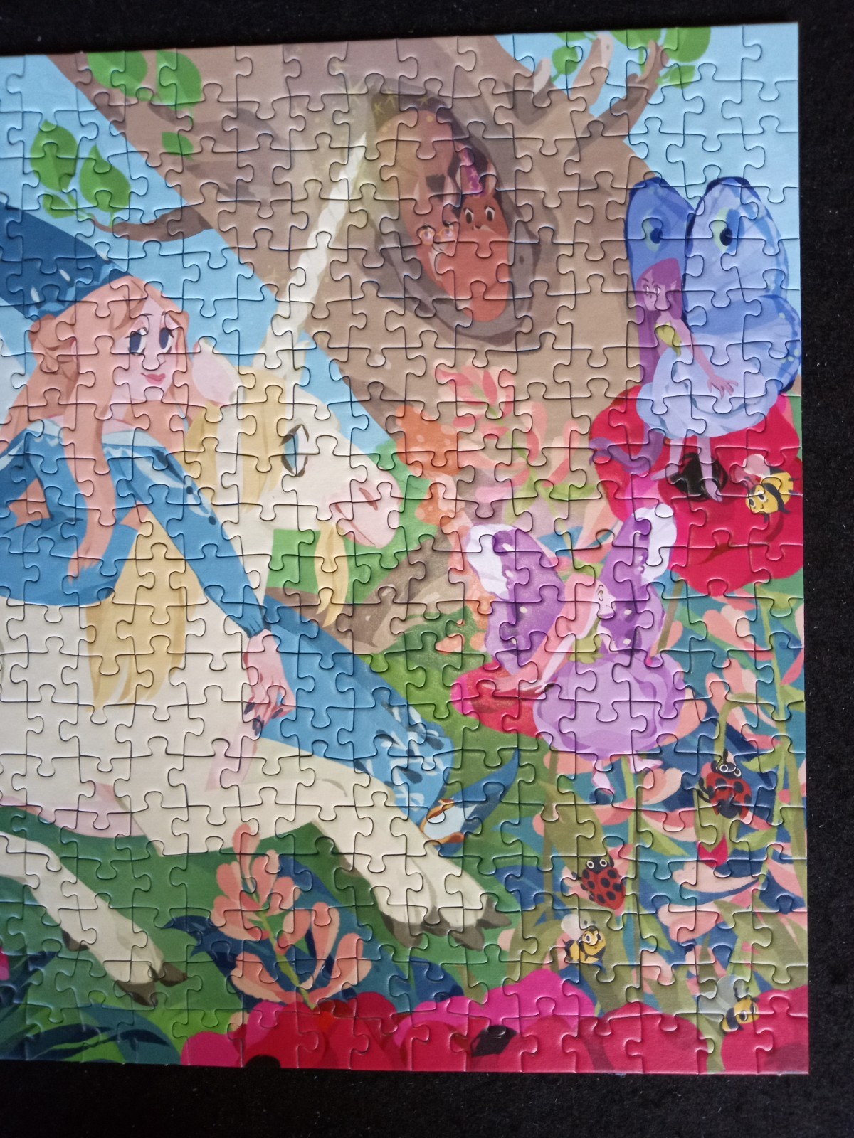 Picture 6 of 17