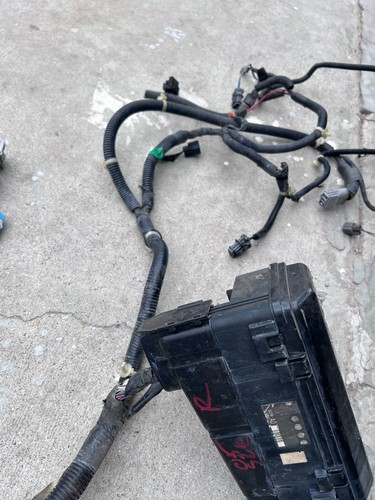 04-05 HONDA S2000 S2K CHASIS PASAJERO DERECHO FARO CABLEADO ARNÉS OEM - Imagen 6 de 6