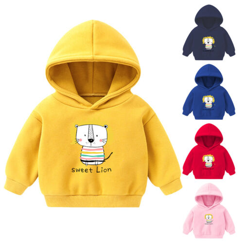 Toddler Boys Girls Winter Long Sleeve Hoodie Sweatshirt For Kids Clothes Cartoon - Picture 1 of 29