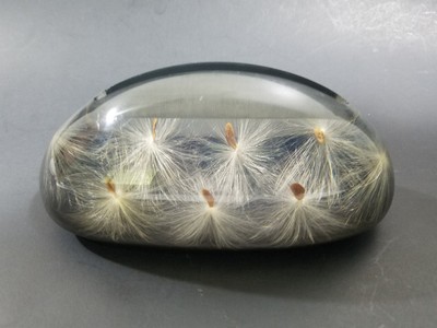 Tarax Infinity Dandelion Seed Puff Lucite Paperweight Pen & Card Holder 6''