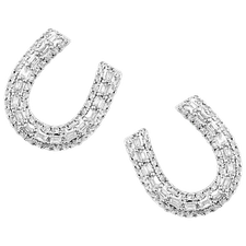 Montana Silversmiths Frosted Luck Crystal Earrings ER5967