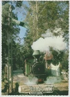 Australia NEW SOUTH WALES NSW Steam Train Timbertown WAUCHOPE NCV postcard 1970s