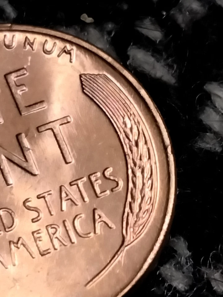 1957 P Lincoln Shield Cent Double Struck And Die Clash - Image 2 of 4