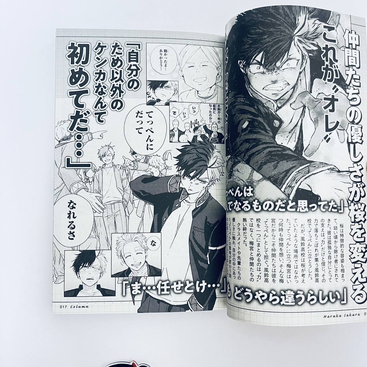 WIND BREAKER Official Character Book 