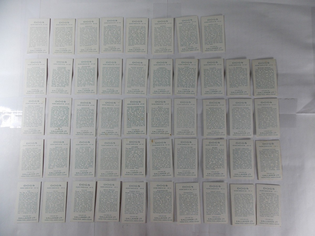 gallaher cigarettes price list Gallaher Cigarette Cards Dogs 2nd Series 1938 Complete Set 48