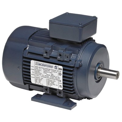 LEESON 063T34FH5302 GP Motor,1/3 HP,3,430 RPM,230/460V AC,63 24ME10