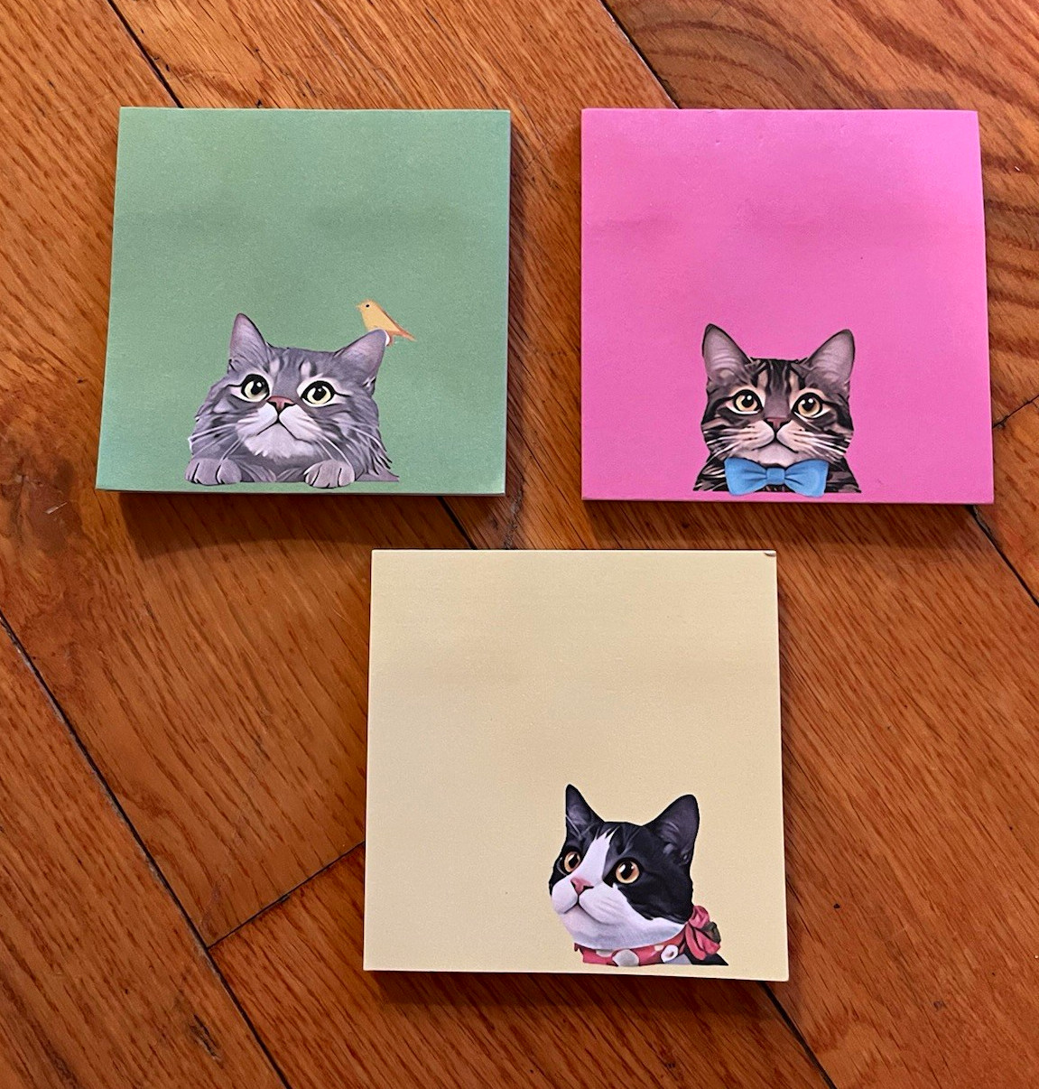 Cat Design Illustration Sticky Notes Memo Pads Set of 3 Pads
