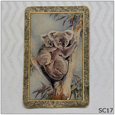 Koala Playing Swap Card (SC17)