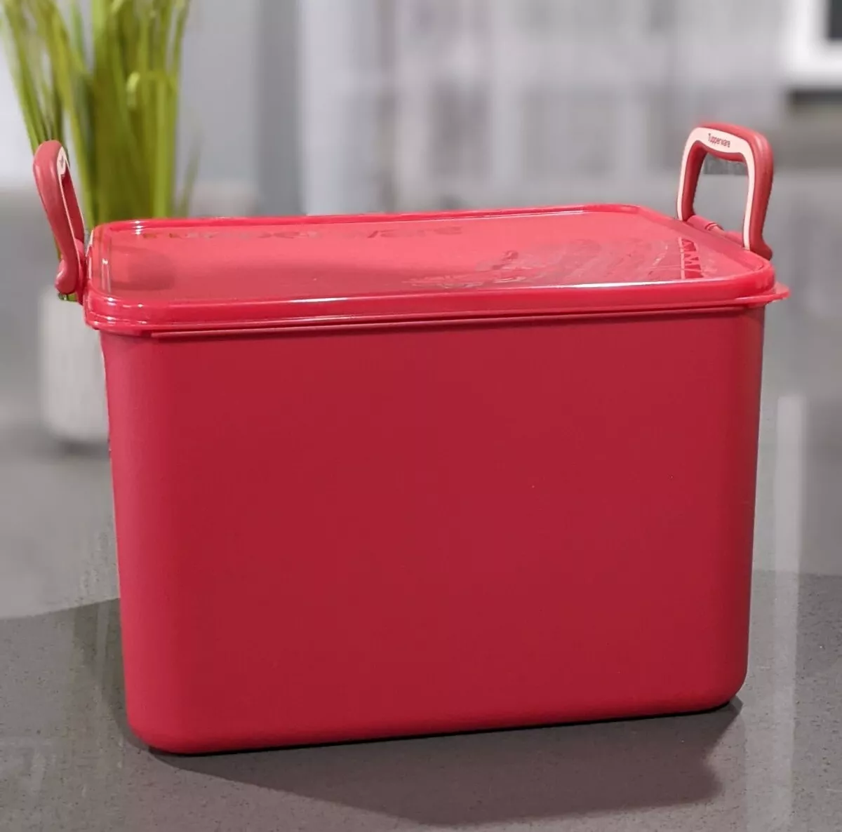 Tupperware Kimchi Storage Container 13.7 liter Large Carryall Keeper  Organizer