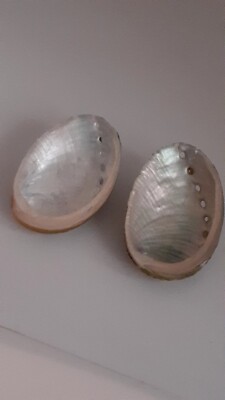 Half Shell Clip On Earrings