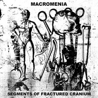 Macromenia - - Segments Of Fractured Cranium - Cd - Cd - F72Z