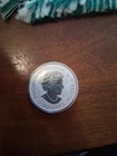 1 Silver Coin .999 Fine