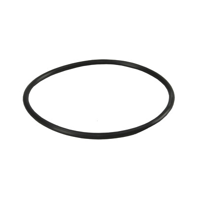 Aquafilter Ersatz O-Ringe OR-N-1524X57 für Big Blue Wasserfiltergehäuse
