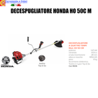 Foto 3 di 4