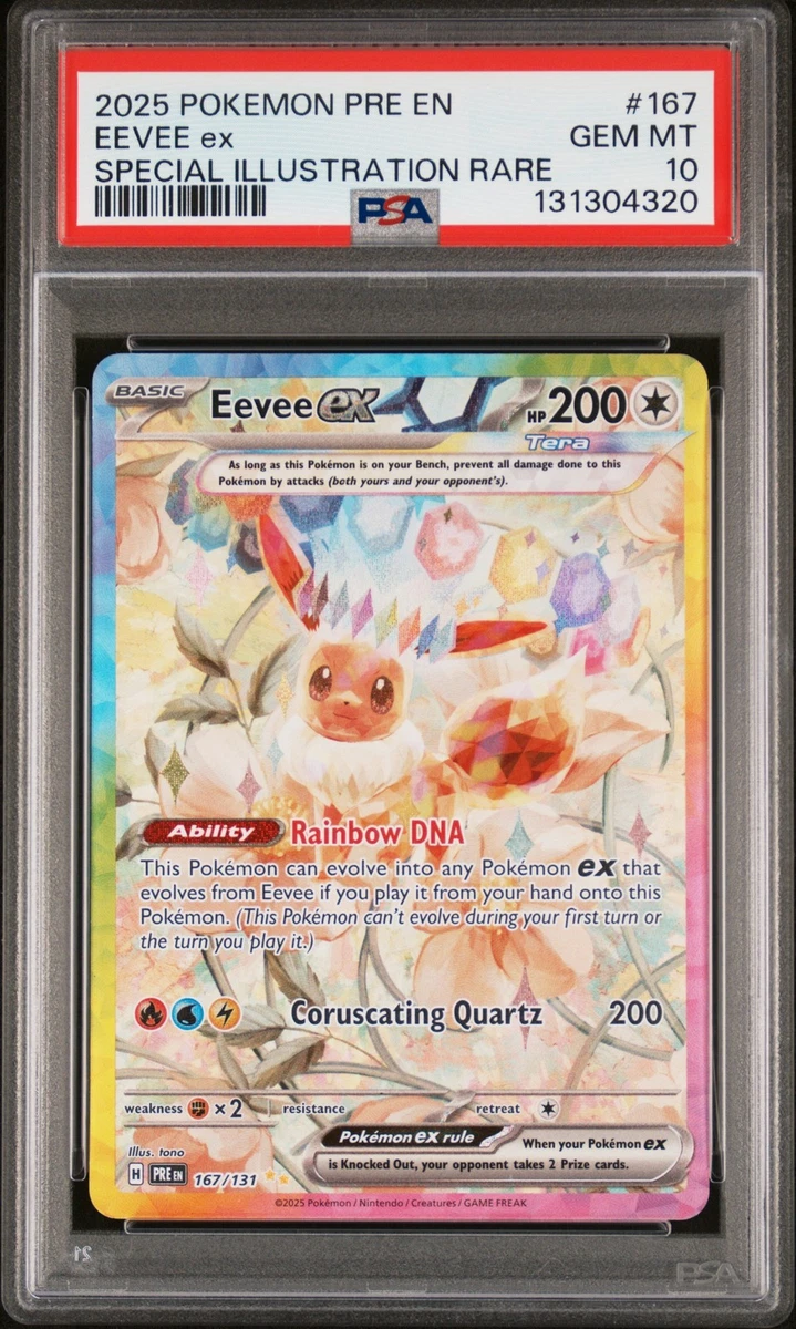 Preços baixos em Eevee Pokémon TCG Autenticador Esportivo