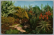 Hawaii Koloa Kauai Moir's Pa'U-A-Laka Gardens Postcard