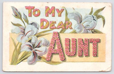 Large Letter~To My Dear AUNT~Pink Posie Letters~Lt Blue Irises~Emb~1908 Postcard