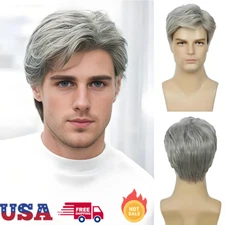 Men's Grey Short Wig Heat Resistant Natural Male Cosplay Daily Hair Wigs Gift US