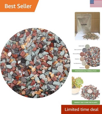 Nutrient-Rich 2.5lb Gritty Mix Soil Amendment for Vibrant Terrariums