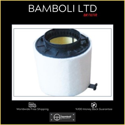 Bamboli Air Filter For A4 - A5 2.7 Tdi - 3.0 Tdi (07-) 8K0133843D