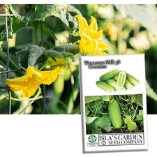 Wisconsin SMR 58 Cucumber Seeds for Planting, 50+ Heirloom Seeds Per Packet, ...