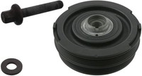 Febi Bilstein 33583 Riemenscheibe FüR BMW 3Er E46 318D 320D 5Er E39 520D