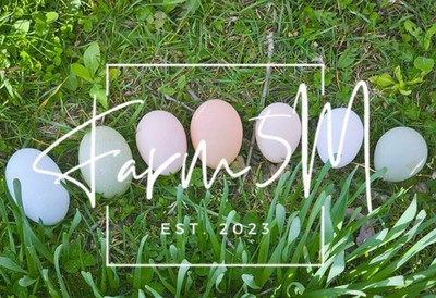 5+1 Easter Egger Rainbow Mix Hatching Eggs - NPIP Certified AI PT Clean