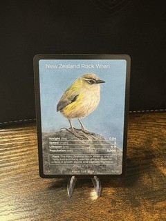 Life TCG Birds 1 Edition New Zealand Rock Wren FullArt 32/130 Pop500