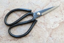Crude - Large 3 Inch Asian Carbon Steel Kitchen Shears Scissors, Fish Poultry
