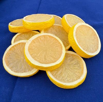 Lot of 10 Pieces Lemon Slices Faux Fake Food Prop Decor Fruit Realistic 2''