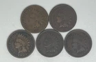 1882 1891 1901 1902 1906 Indian Head Cent Lot of 5