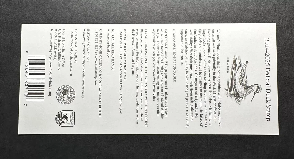 #RW91A 2024 - 2025 - US Federal Duck Stamp **CHUCK BLACK** Post Office FRESH - Image 3 of 3