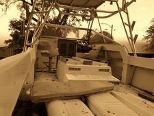 26' Shamrock Striker
