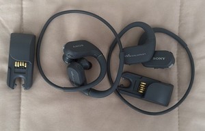 Sony Nw-Ws413 | eBay