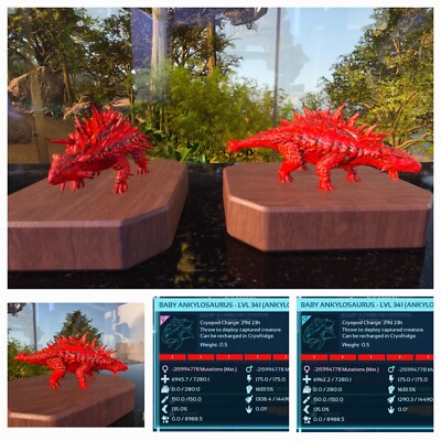 ARK ASCENDED PVE OFICIAL PAIR BABY ANKYLO RED 1633% DMG TOP STATUS  PS/PC/XBOX