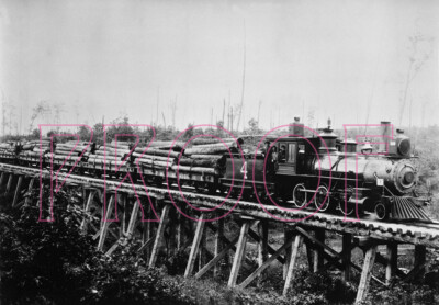Lake County Railroad Engine 4 with F&PM Flat Cars/Log Train in 1887 - 8x10 Photo